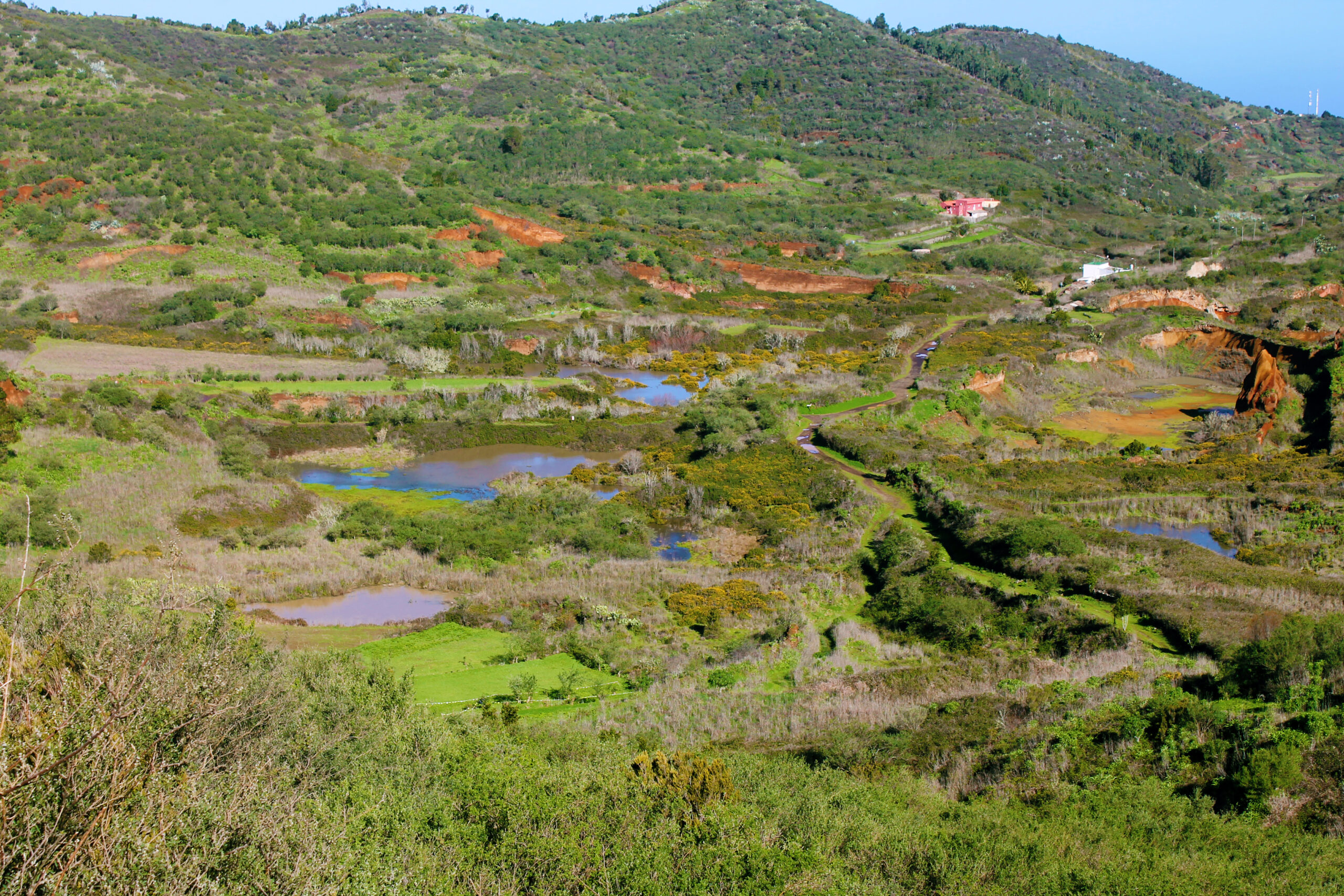 Directrices Técnicas