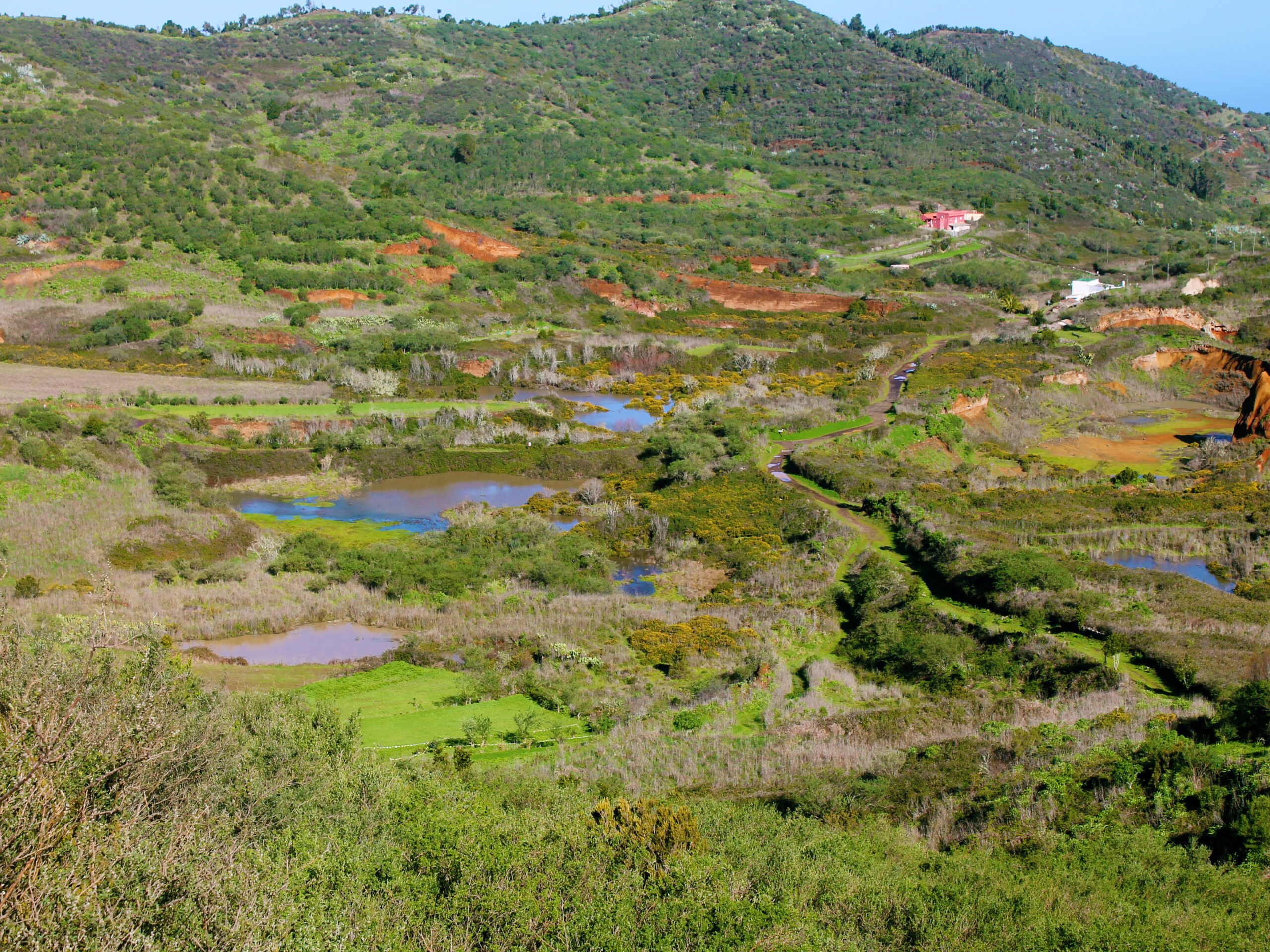 IMG_5554d – copia